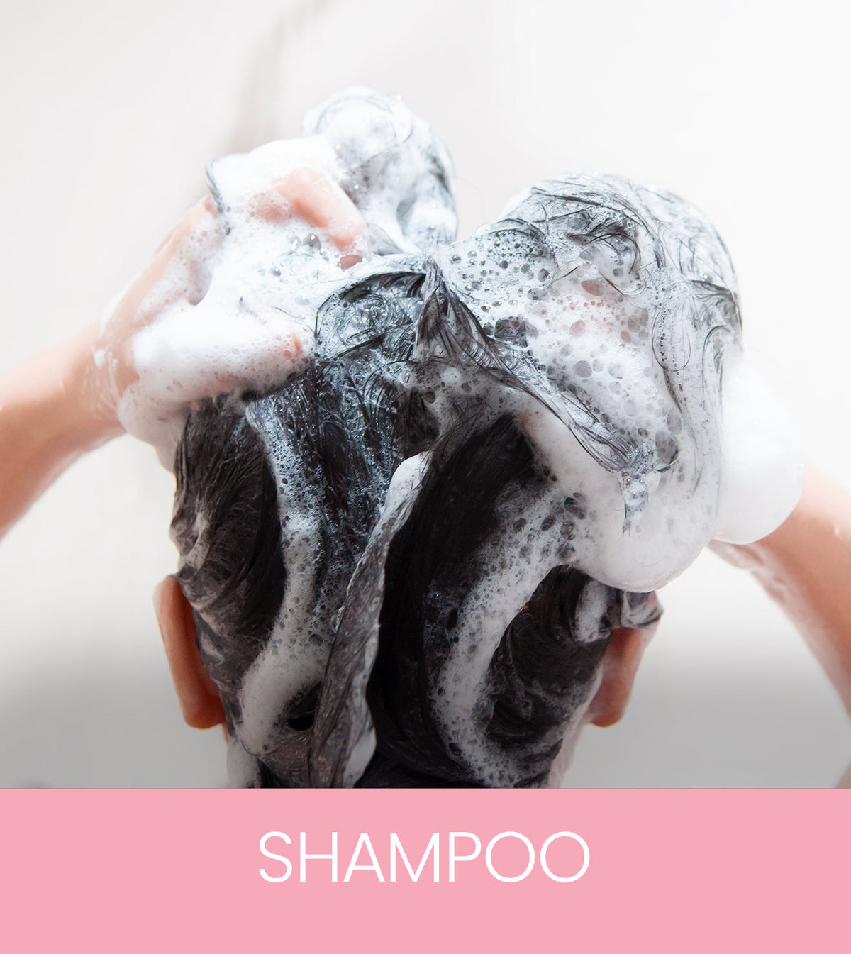 Shsampoo Shampoo